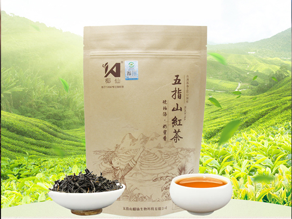 五指山红茶-五指山椰仙水满茶香有机茶庄园