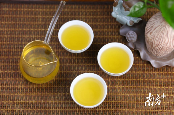 喜讯!广东8个农产品获得地理标志登记保护